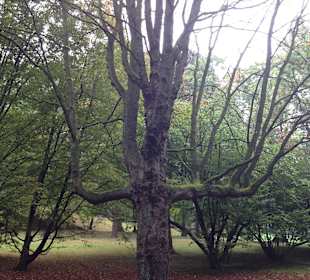 Nahegelegener Farwick-Park