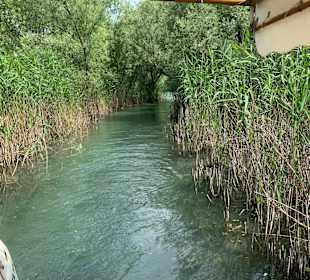 Impressionen von der Bootsfahrt am  Skadarsee