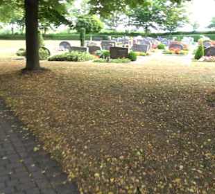 Neuer Friedhof Gülstein