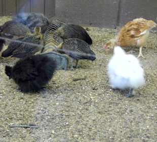 WP LH Herbst Impression