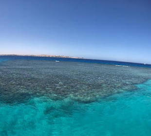 Tauchbasis Scuba World Divers Makadi Bay