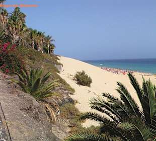 Jandia-Playa del Matorral