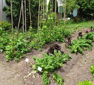 Impressionen aus dem Garten des Bauernmuseums