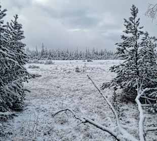 Wandern Bad Wildbad