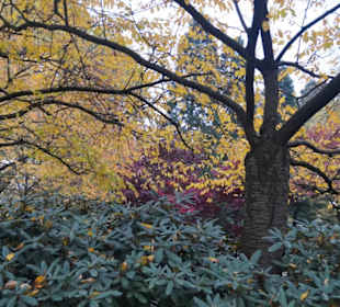 Parkanlage Planten un Blomen