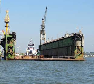 Impressionen von der Hafenrundfahrt