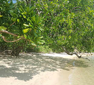 Strand auf Surin Island
