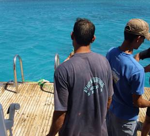 Tauchen und Schnorcheln