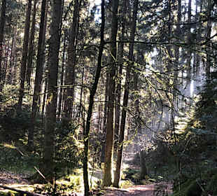 Wandern Bad Teinach-Zavelstein