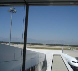 Unser Flugzeug Blue Wings