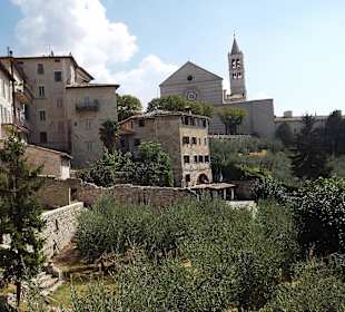 Assisi