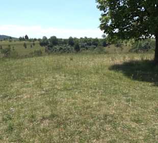 Burg Kräheneck Reusten