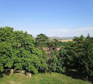 Viscri/Deutsch-Weisskirch