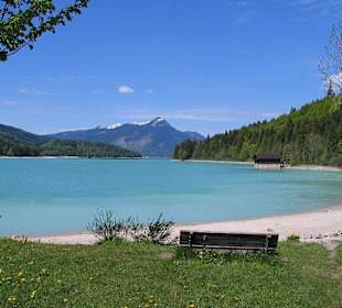 -morgens am Walchensee