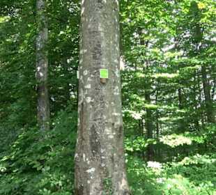 Premiumwanderweg "hochgelegen"