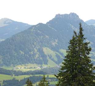 Blick vom Iseler aus