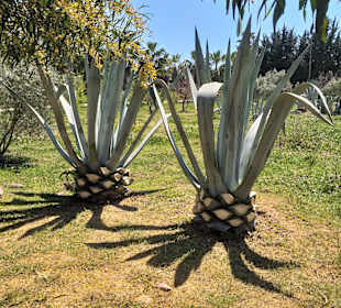 Strandpromenade Evrenseki