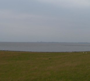 Ausblick 