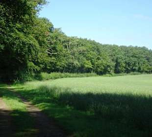 Wanderung durch die Kleine Luxemburger Schweiz