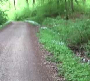 Naturpark Schönbuch