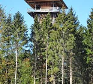 Der Aussichtsturm des Baumwipfelpfades
