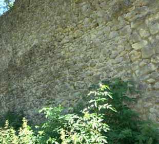 Burg Hölnstein Stetten u. Holstein
