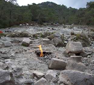 Chimaira - Brennende Steine