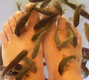 Eine Behandlung sollte man sich gönnen!