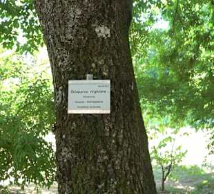 Schlosspark Hohenheim