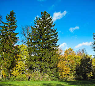 Парк Замка Ойтин.Золотая осень.