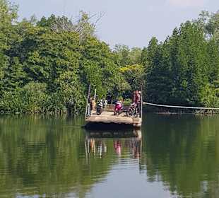 Bentota Fluss- und Mangroven Tour