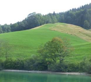 Ausblick
