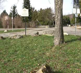 Freizeit-Anlage Buchhalde
