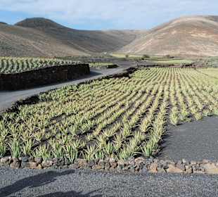 Fahrt von Ost über Nord nach West