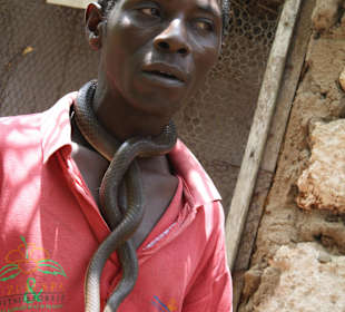 Buschtour/ Kenia/ Diani Beach