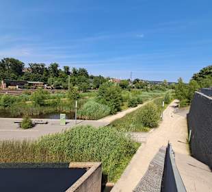 Naturschutzgebiet Grube Reden in Schiffweiler