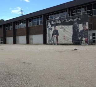 Haupt- und Landgestüt Marbach