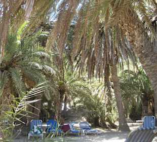 Palmenstrand von Vai