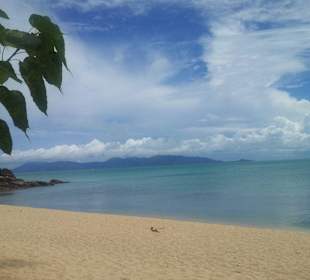 Ausblick bei der Massage Home Bay