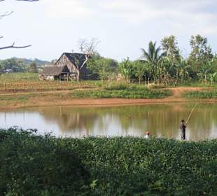 Rund um Pinar del Rio