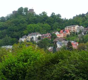 Blick auf die Burg