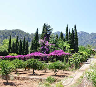 Blick auf den Garten vom Säulengang