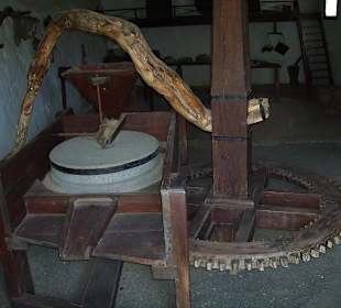 Museo Agricola el Patio