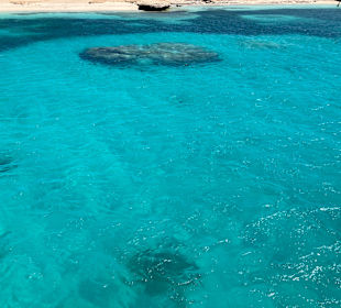 Delfin Tour Hurghada