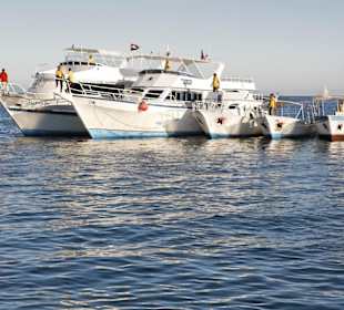Flotte der Extra Divers Makadi Bay