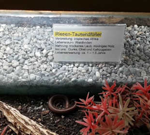 Exotarium