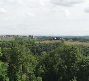 Ausblick von der Burg