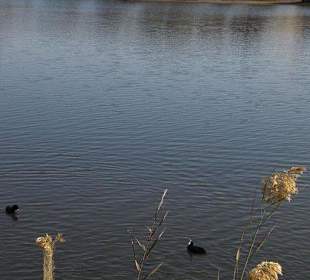 Dünen & See gleich beim Strand
