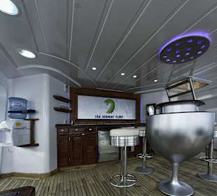 M/Y Grand Sea Serpent bar up