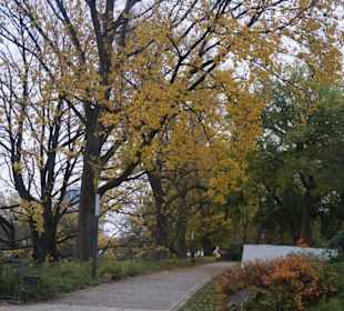 Parkanlage Planten un Blomen